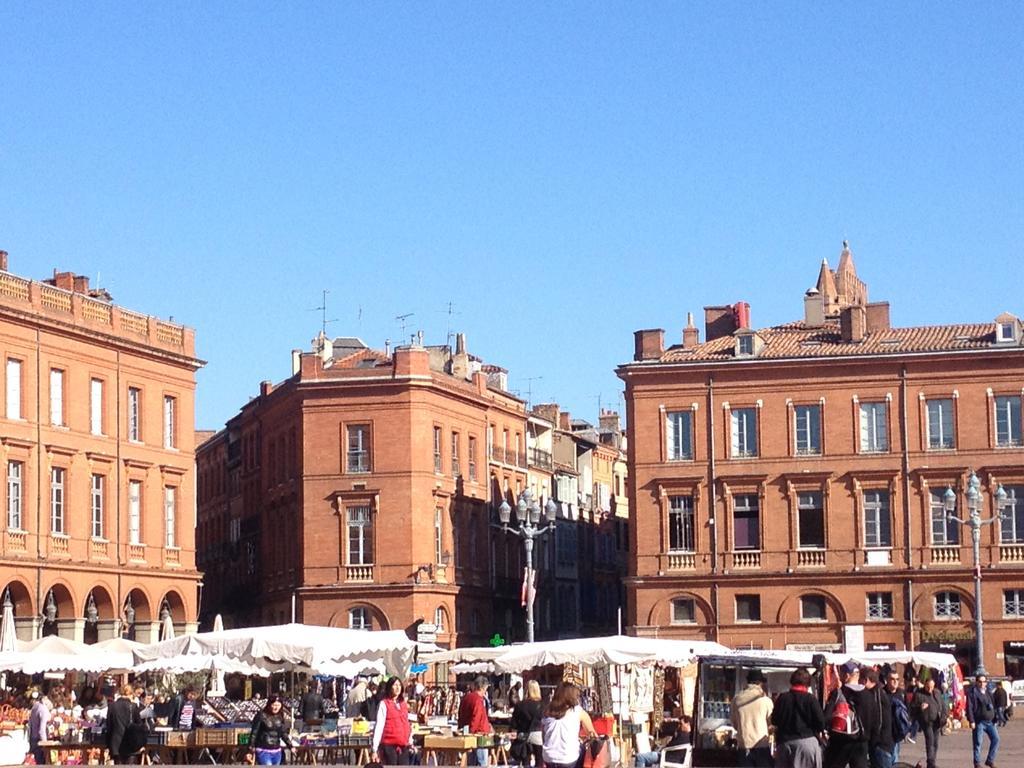 Les Platanes Apartment Toulouse Bilik gambar